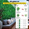 VEVOR Artificial Boxwood Panels, 16 PCS 20"x20" Boxwood Hedge Wall Panels, PE Artificial Grass Backdrop Wall 1.6", Privacy Hedge Screen for Decoration